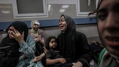 بينهن 7920 أما... إسرائيل تقتل امرأة كل ساعة في قطاع غزة