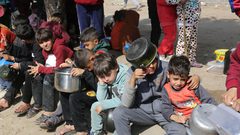 الأمم المتحدة: عدد الوجبات اليومية المقدمة للمواطنين في قطاع غزة انخفض 70%