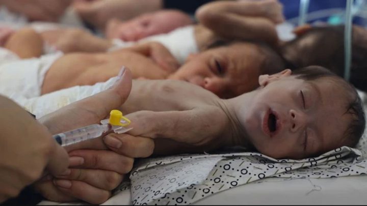 الأمم المتحدة تحذر من وفاة 14 ألف رضيع في غزة بسبب نقص المساعدات