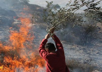 مستوطنون يضرمون النار في أراضي مادما جنوب نابلس