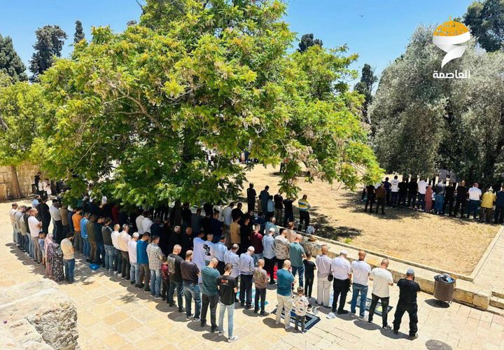 40 ألفا يؤدون صلاة الجمعة في المسجد الأقصى