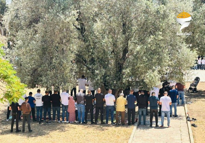 40 ألفا يؤدون صلاة الجمعة في المسجد الأقصى