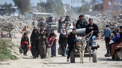 غالبية الاسرائيلين يؤيدون التهجير القسري للفلسطينيين