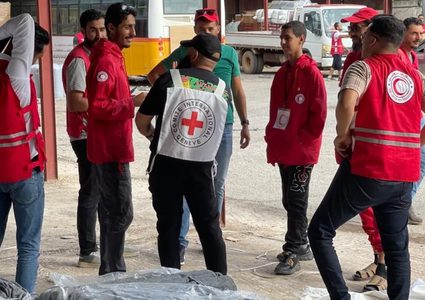 وزير الصحة يلتقي مدير عام اللجنة الدولية للصليب الأحمر في جنيف