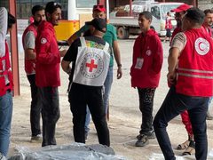 وزير الصحة يلتقي مدير عام اللجنة الدولية للصليب الأحمر في جنيف