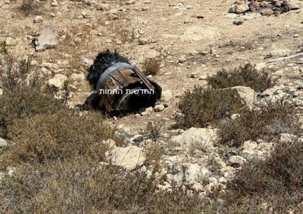 تعليق الرحلات في مطار اللد بعد إطلاق صاروخ من اليمن