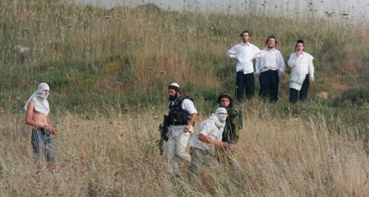 مستوطنون يختطفون مواطنا بعد الاعتداء عليه في مسافر يطا