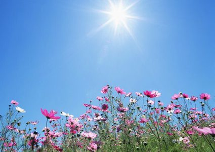 الطقس: كتلة هوائية حارة وجافة حتى الثلاثاء