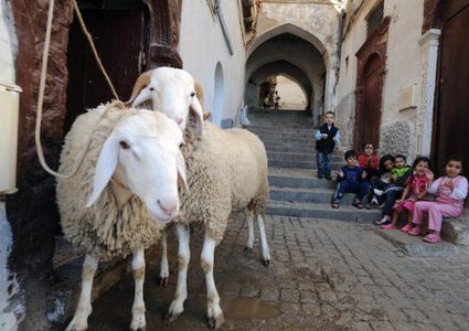 الإعلان عن موعد عيد الأضحى المبارك فلكيًّا