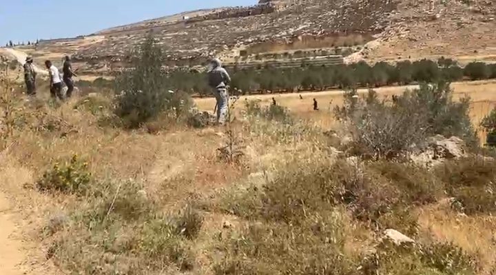 مستعمرون يهاجمون المواطنين في المغير