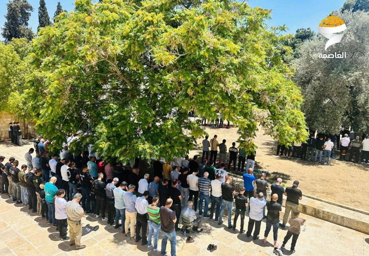 45 ألفا يؤدون صلاة الجمعة في المسجد الأقصى