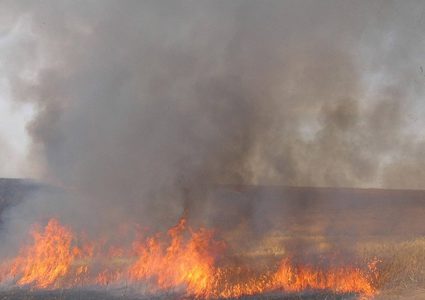 مستعمرون يضرمون النار في اراضي المواطنين في بلدة سنجل