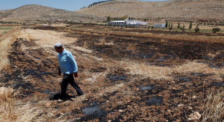 انتهاكات متواصلة.. مستوطنون يهاجمون فلسطينيا في الأغوار الشمالية