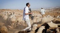 مستوطنون يهاجمون رعاة الأغنام بطائرات مسيّرة في قرية المنيا شرق بيت لحم