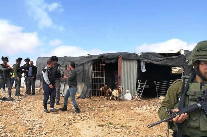 الاحتلال يعتقل مواطنا بعد الاعتداء عليه في مسافر يطا