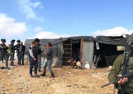 الاحتلال يعتقل مواطنا بعد الاعتداء عليه في مسافر يطا