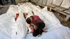 8 شهداء جراء إطلاق الاحتلال النار على المنتظرين للمساعدات غرب رفح