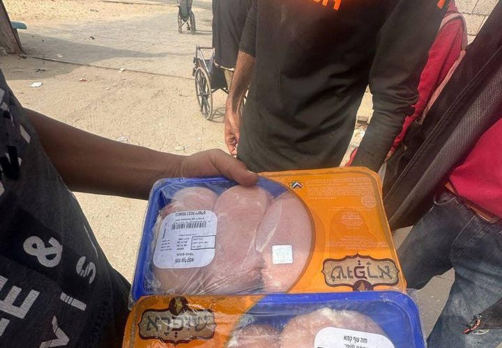 11 شاحنة محملة باللحوم المجمدة دخلت صباح اليوم الى تجار في دير البلح وسط قطاع غزة