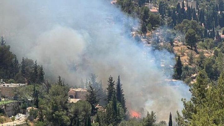 حريق هائل في حدائق في عين كارم بالقدس المحتلة