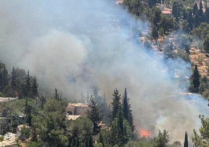 حريق هائل في حدائق في عين كارم بالقدس المحتلة
