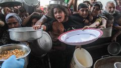 أوتشا تحذّر من إجبار الغزيين على الاختيار بين الجوع والموت