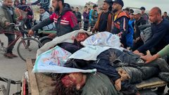 هاني المصري: السيناريوهات قاتمة.. والحل في التوافق الفلسطيني