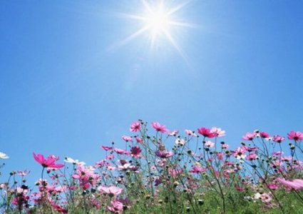 حالة الطقس: أجواء صافية بوجه عام