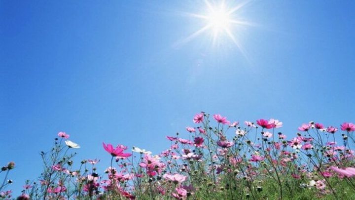 حالة الطقس: أجواء صافية بوجه عام