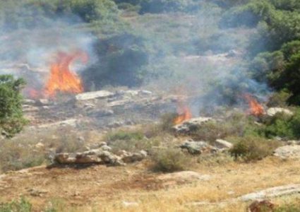 مستوطنون يشعلون النار في أراضي حوارة جنوب نابلس