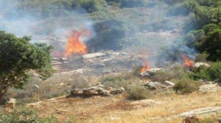 مستوطنون يشعلون النار في أراضي حوارة جنوب نابلس