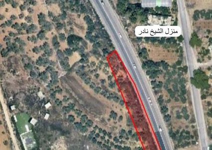 الاحتلال يصدر قرارا بتجريف أشجار في الساوية واقتلاعها