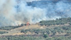 مستوطنون يشعلون النيران بأراضي المواطنين ببلدة حوارة جنوب نابلس