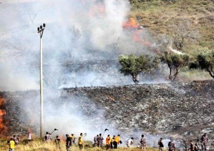 مستوطنون يحرقون أراضي زراعية في ترمسعيا