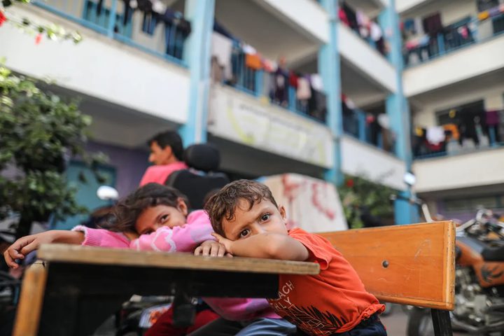 التريبة: 16.802 طلاب استشهدوا ودُمرت 111 مدرسة و60 مبنى تابعا للجامعات