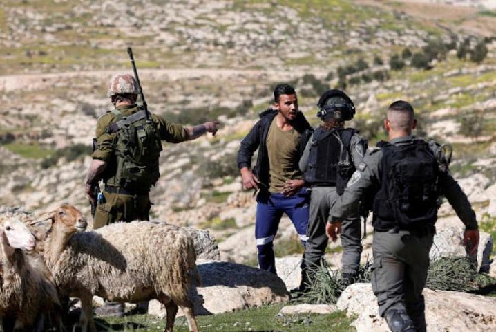 مستوطنون يطلقون مواشيهم في أراضي المواطنين ويستولون على بئر ماء بمسافر يطا