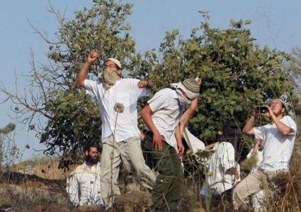 مستعمرون يهدمون منشات المواطنين في مسافز يطا