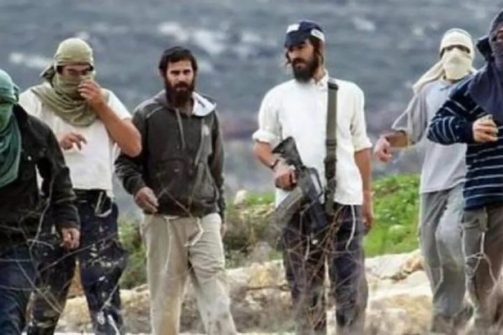 إصابة 3 مواطنين برصاص مستوطنين وإحراق كوخ زراعي في حزما شمال شرق القدس