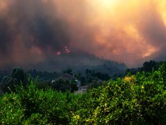 حرائق غابات ضخمة تستعر في تركيا.. وإجلاء أكثر من 50 ألف شخص