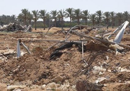 ‫"فاو": 4.6% فقط من أراضي قطاع غزة صالحة للزراعة