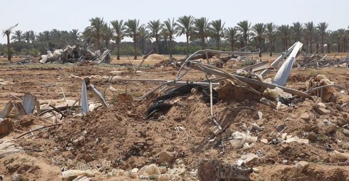 ‫"فاو": 4.6% فقط من أراضي قطاع غزة صالحة للزراعة