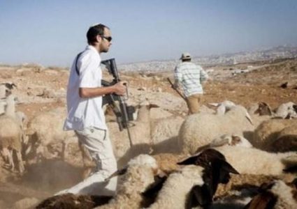 مستوطنون يهاجمون المواطنين في خربة الفارسية بالأغوار الشمالية