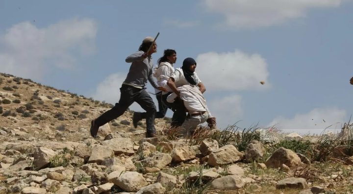 مستعمرون يهاجمون منازل المواطنين في سبسطية