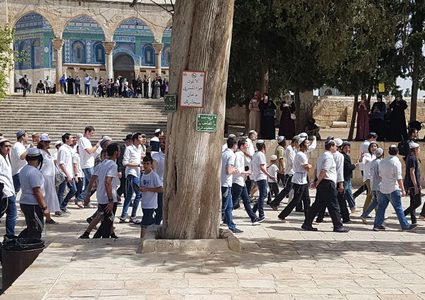 محافظة القدس: المتطرف غليك يقتحم ساحة الصخرة والاقتحامات تتجاوز كل المحظورات