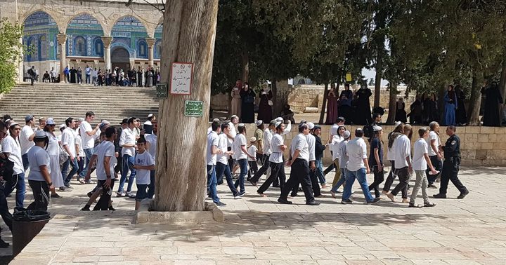 محافظة القدس: المتطرف غليك يقتحم ساحة الصخرة والاقتحامات تتجاوز كل المحظورات