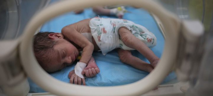 الأمم المتحدة: 50 ألف حامل بغزة بلا طعام منذ أيام وخطر الموت يتربص بأطفال