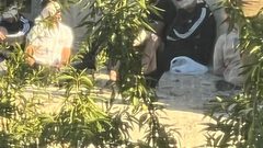 "ليلة صعبة وتحقيق مع طلاب الثانوية العامة " ...قوات الاحتلال تنسحب من بلدة سنجل شمال شرق رام الله بعد مداهمة منازل المواطنين والتحقيق معهم ومصادرة دراجة نارية.