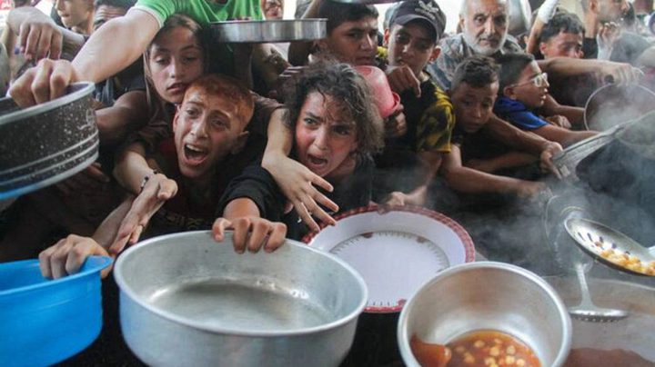 الأغذية العالمي: الحاجة في قطاع غزة كبيرة والجوع ينتشر