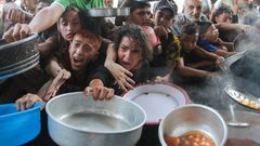 الأغذية العالمي: الحاجة في قطاع غزة كبيرة والجوع ينتشر