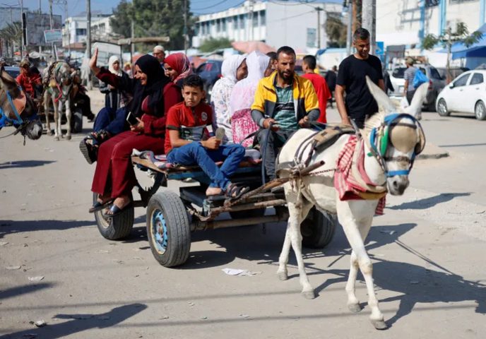 الاحتلال يسرق حمير غزة ويرحّلها لفرنسا بزعم تعرضها لـ"صدمة نفسية"