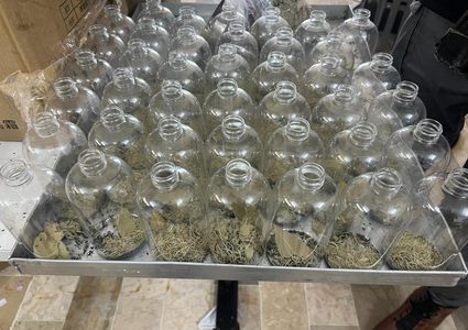 الأمن الوقائي يضبط مصنع تزوير مستحضرات تجميل في نابلس